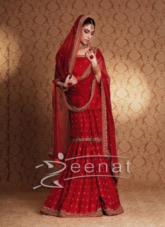 http://www.fashiontrends.pk/wp-content/uploads/2012/02/Pakistani-Gharara-05.jpg